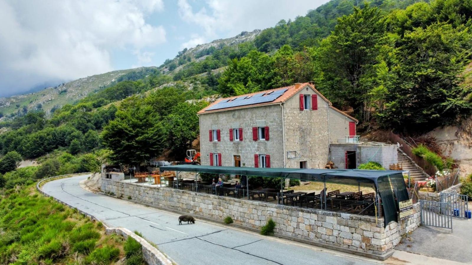 Ferme Auberge Du Col De La Vaccia Olivese Exterior photo